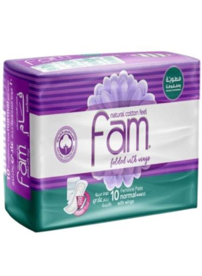 Triple Folded Sanitary Pads Normal Size With Wings 10 Count - Triple Folded Normal